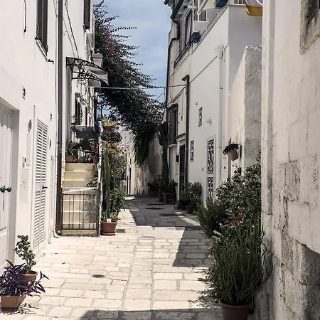 Nico Polignano a Mare